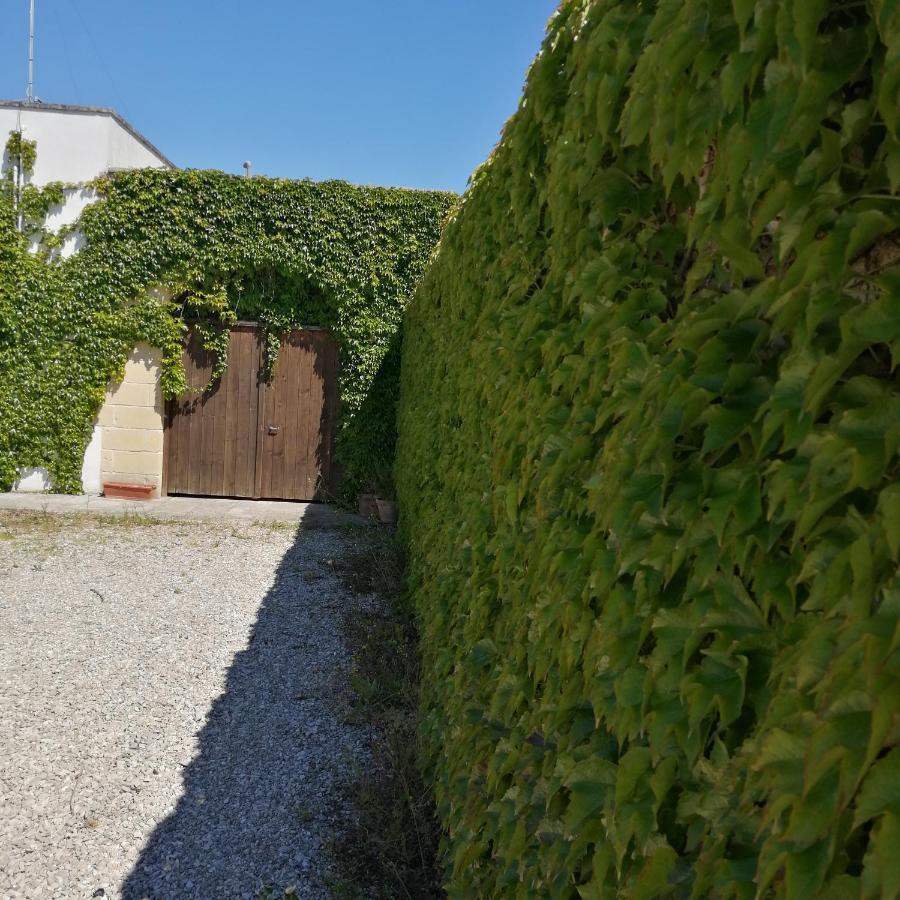 B&B Villasalento Le Cavallino di Lecce Exterior photo